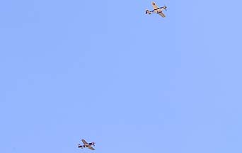 North American P-51D Mustangs N64824 Speedball Alice and NL451TB Kimberly Kaye